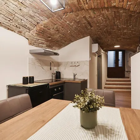Luxury Vault - Historic Center Apartment